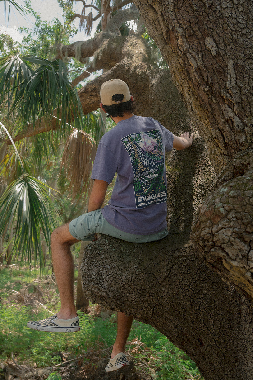 EVERGLADES